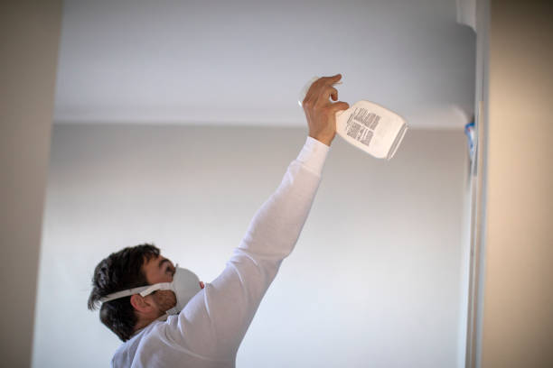 Reliable Colonia, NJ Mold Removal Solutions