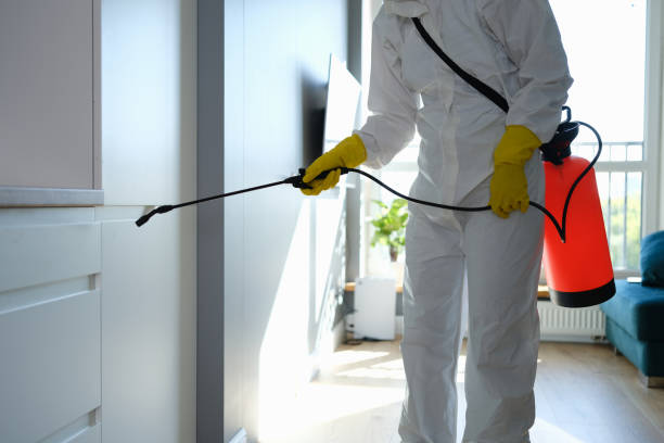 Attic Mold Removal in Colonia, NJ