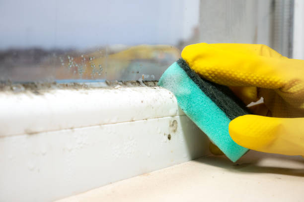 Best Mold Cleaning Services  in Colonia, NJ