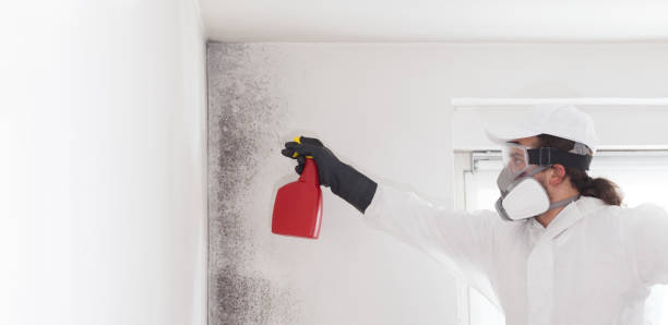 Best Office Mold Removal Services  in Colonia, NJ