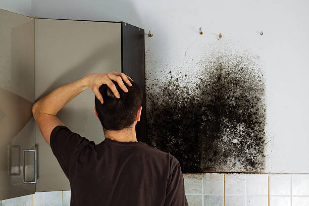 Best Professional Mold Removal  in Colonia, NJ